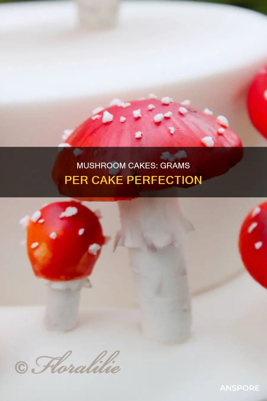 how many grams of mushrooms per cake
