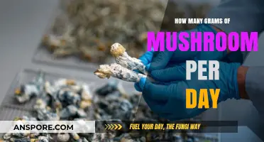 Mushroom Microdosing: Daily Grams for Health