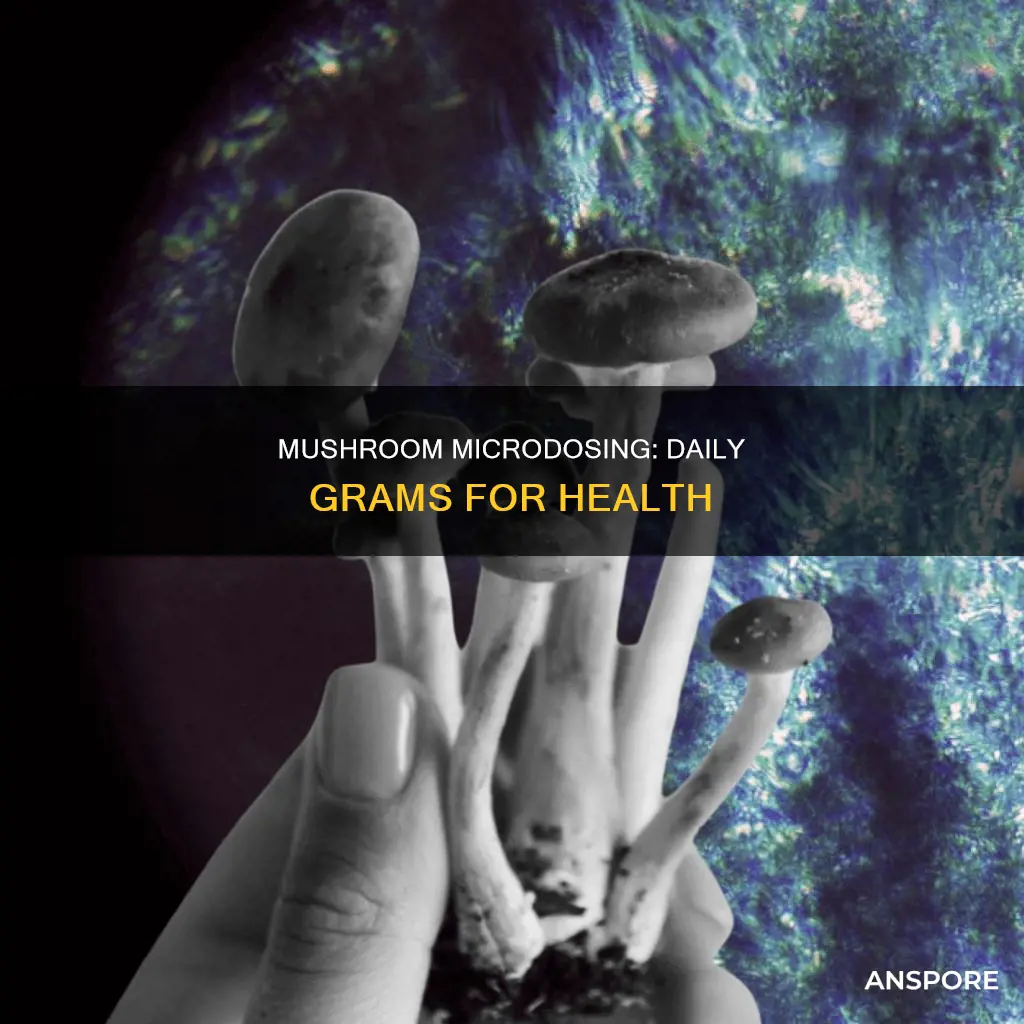 how many grams of mushrooms per day