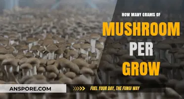 Maximizing Mushroom Yields: Optimal Grams per Grow Guide