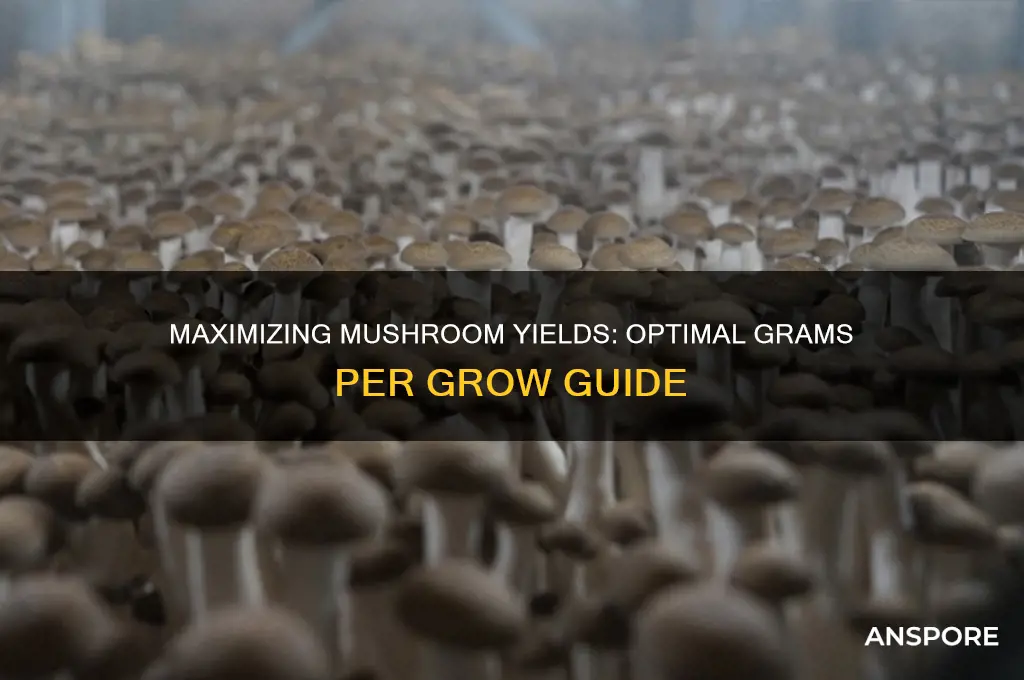 how many grams of mushrooms per grow