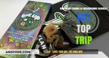 Safe Psychedelic Dosing: How Many Grams of Mushrooms for a Trip?