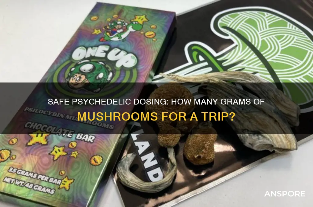 how many grams of mushrooms should i eat top trip