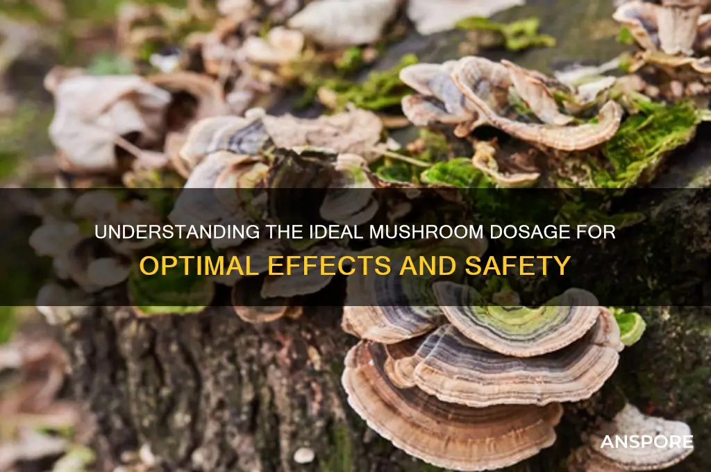 how many grams of mushrooms should you take