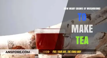 Perfect Mushroom Tea Dosage: Grams Guide for Optimal Brewing