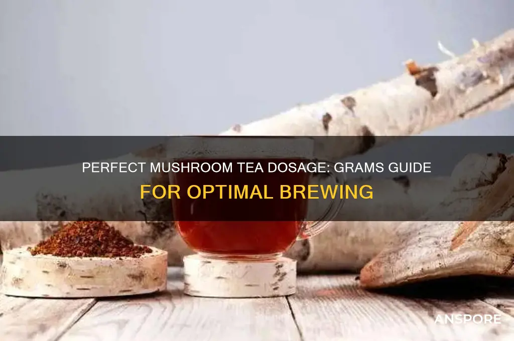 how many grams of mushrooms to make tea