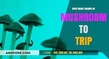 Exploring Safe Psychedelic Doses: How Many Grams of Mushrooms to Trip?
