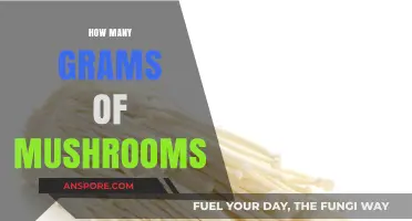 Mushroom Magic: Weighing the Perfect Amount