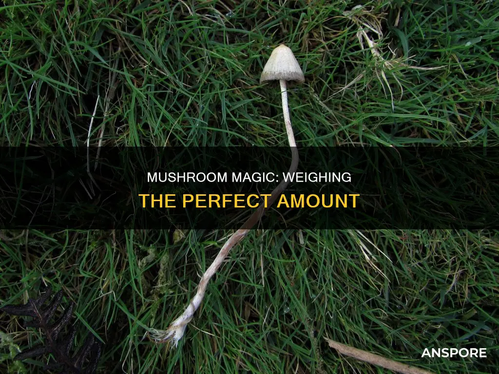 how many grams of mushrooms