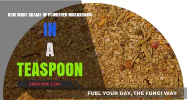 Mushroom Powder Measurements: Grams in a Teaspoon