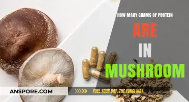 Mushrooms: A Surprising Source of Protein