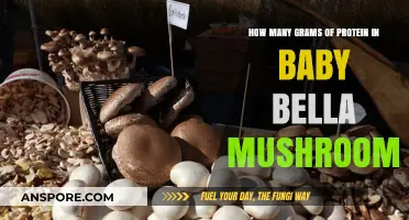 Protein Power: Baby Bellas' Surprising Punch