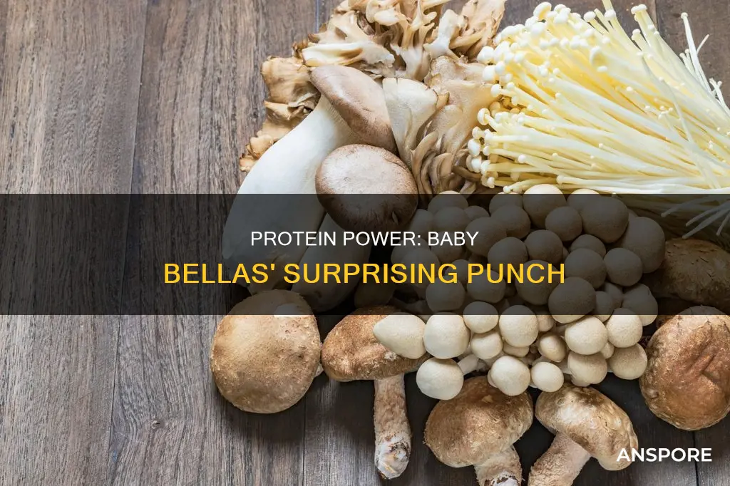 how many grams of protein in baby bella mushrooms