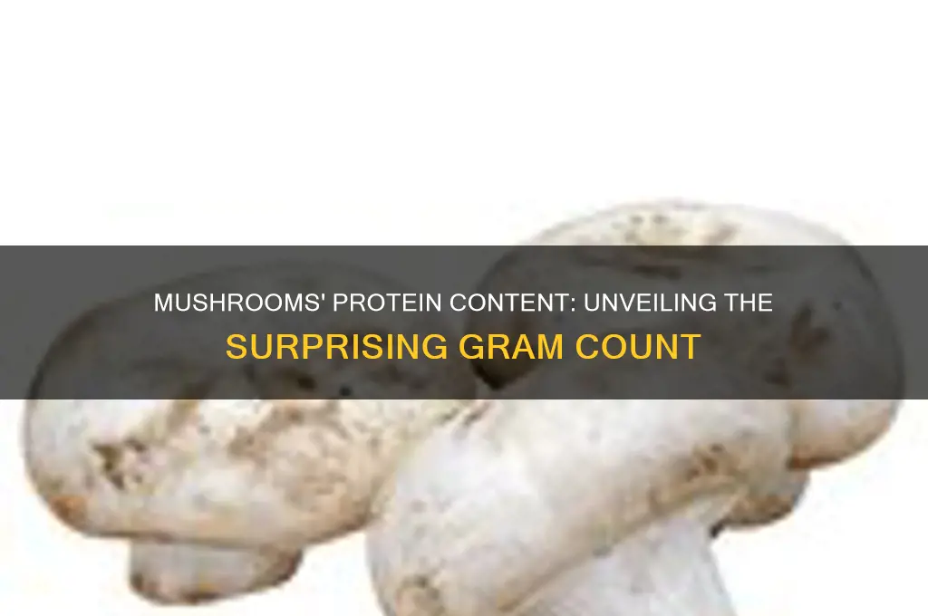 how many grams of protein in mushrooms