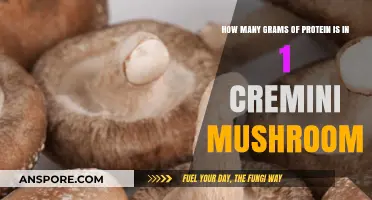Protein Power: Cremini Mushrooms' Surprising Content