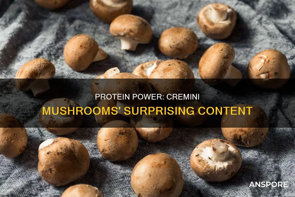 how many grams of protein is in 1 cremini mushroom