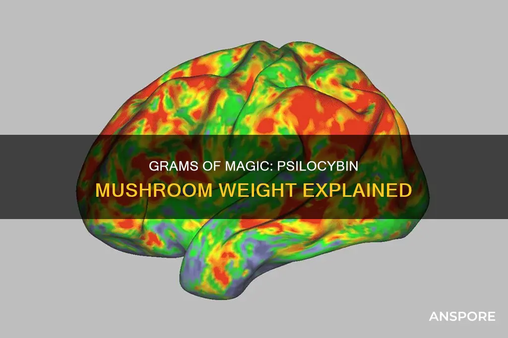 how many grams of psilocybin in a gram of mushrooms