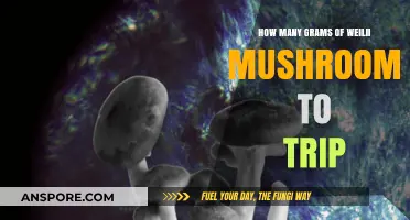 Tripping on Weilii Mushrooms: How Many Grams?