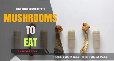 Wet Mushroom Dosage: How Many Grams Should You Consume?