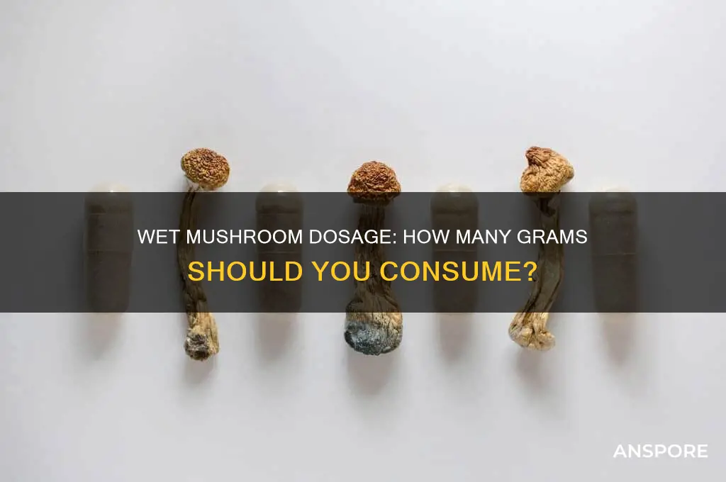 how many grams of wet mushrooms to eat