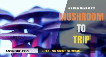 Tripping on Mushrooms: How Many Grams to Take?