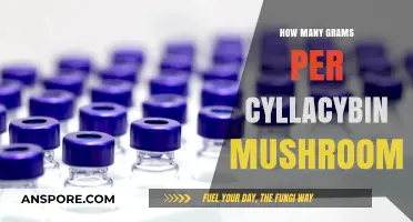 Grams and Shrooms: A Comprehensive Guide