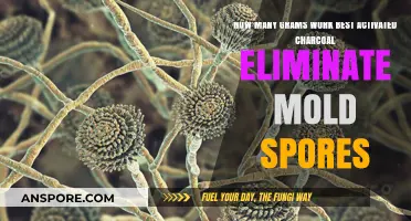 Effective Activated Charcoal Dosage to Eliminate Mold Spores Safely