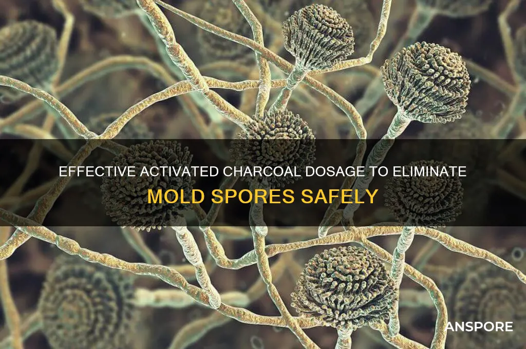 how many grams work best activated charcoal eliminate mold spores