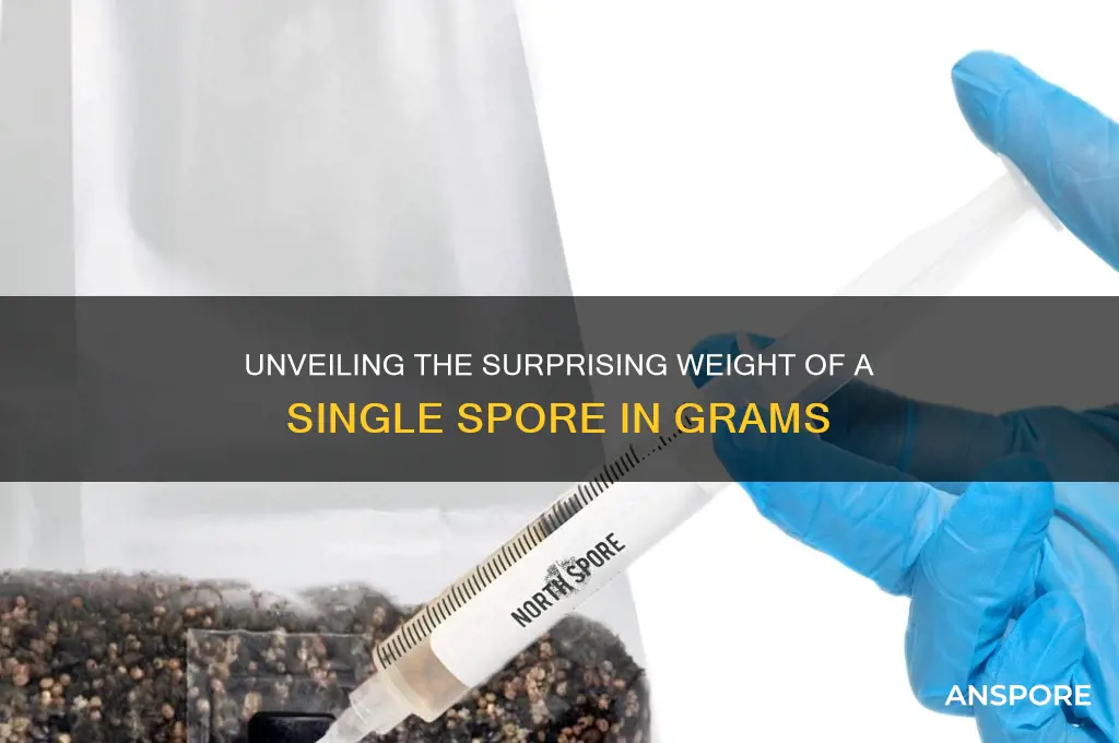 how many grams would one spore haver