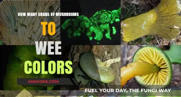 Magic Mushrooms: A Visual Trip