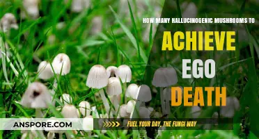 Seeking Ego Death? Here's the Magic Mushroom Dosage