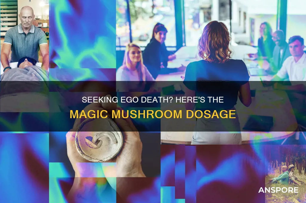 how many hallucinogenic mushrooms to achieve ego death