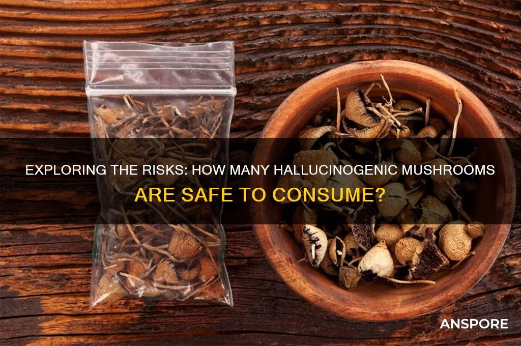 how many halucinagenic mushroom do you ou eat