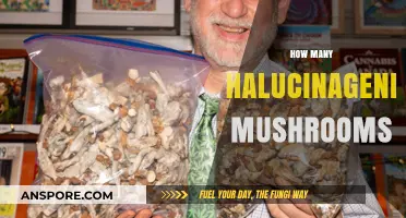 Exploring the Right Dose of Magic Mushrooms