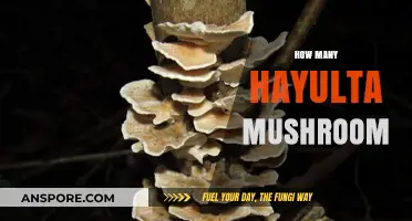 The Surprising Abundance of Hayulta Mushrooms