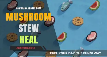 Healing Power: Mushroom Stew's Hearty Benefits