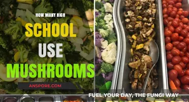 Exploring Mushroom Usage in High Schools: Trends and Insights