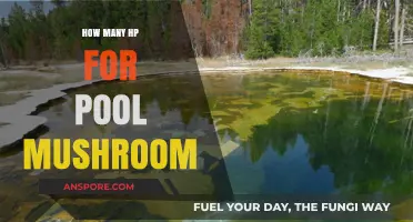 Powerful Pool Mushrooms: How Much HP Do You Need?