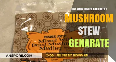 Hunger Bars: Mushroom Stew's Surprising Fill-Up