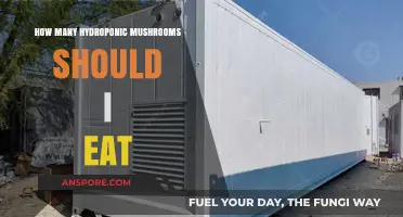 Optimal Hydroponic Mushroom Consumption: How Much Should You Eat?