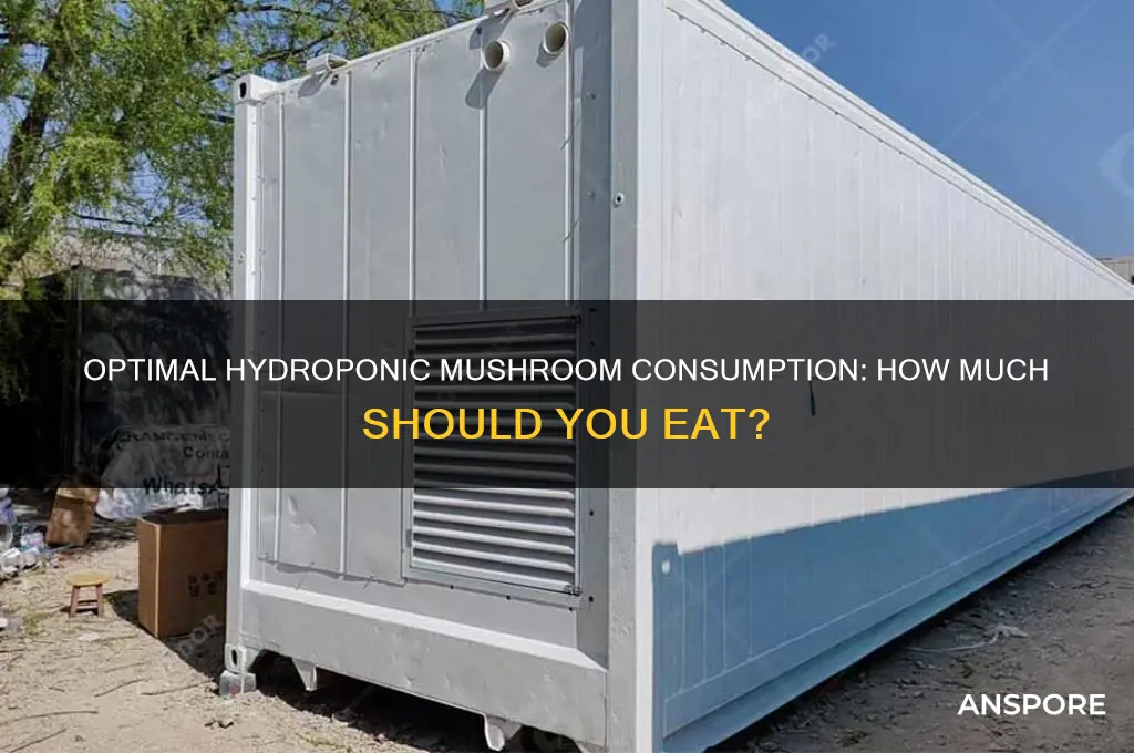 how many hydroponic mushrooms should i eat