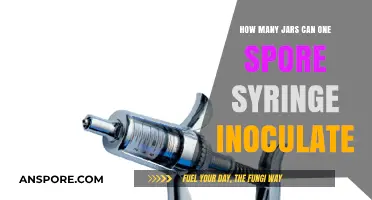 Maximizing Yield: How Many Jars Can One Spore Syringe Inoculate?
