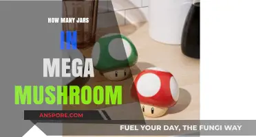 Unveiling the Magic Number of Jars in Mega Mushroom