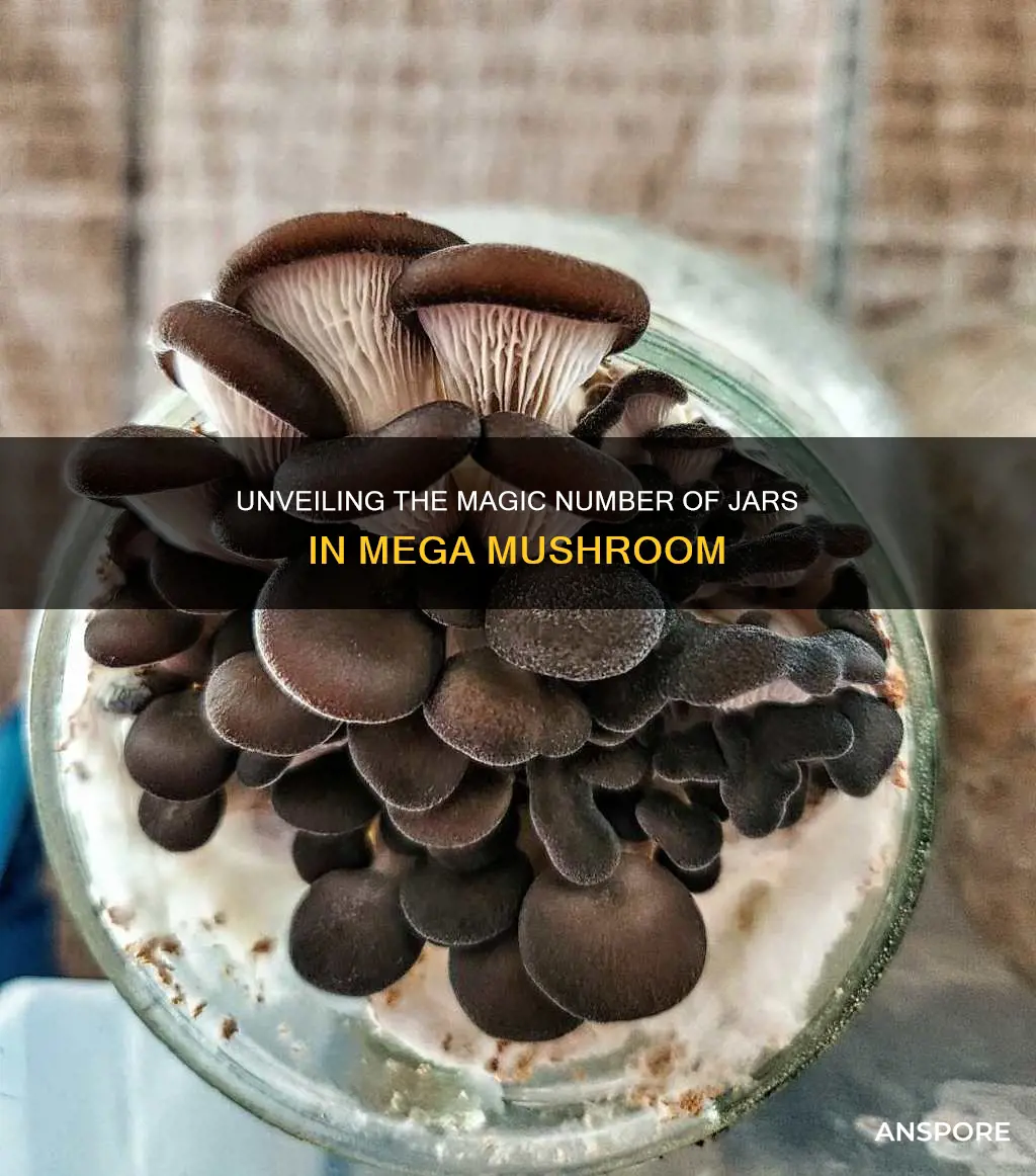 how many jars in mega mushroom