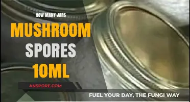 Mushroom Spores: Jars and Quantity Guide