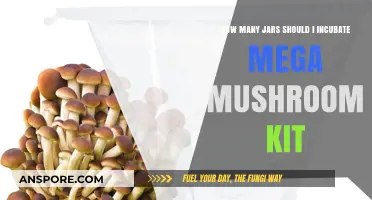 Incubating Mega Mushroom Kits: How Many Jars?