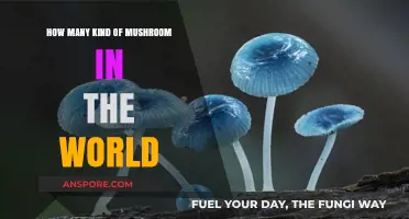 Mushroom Varieties: A World of Diversity