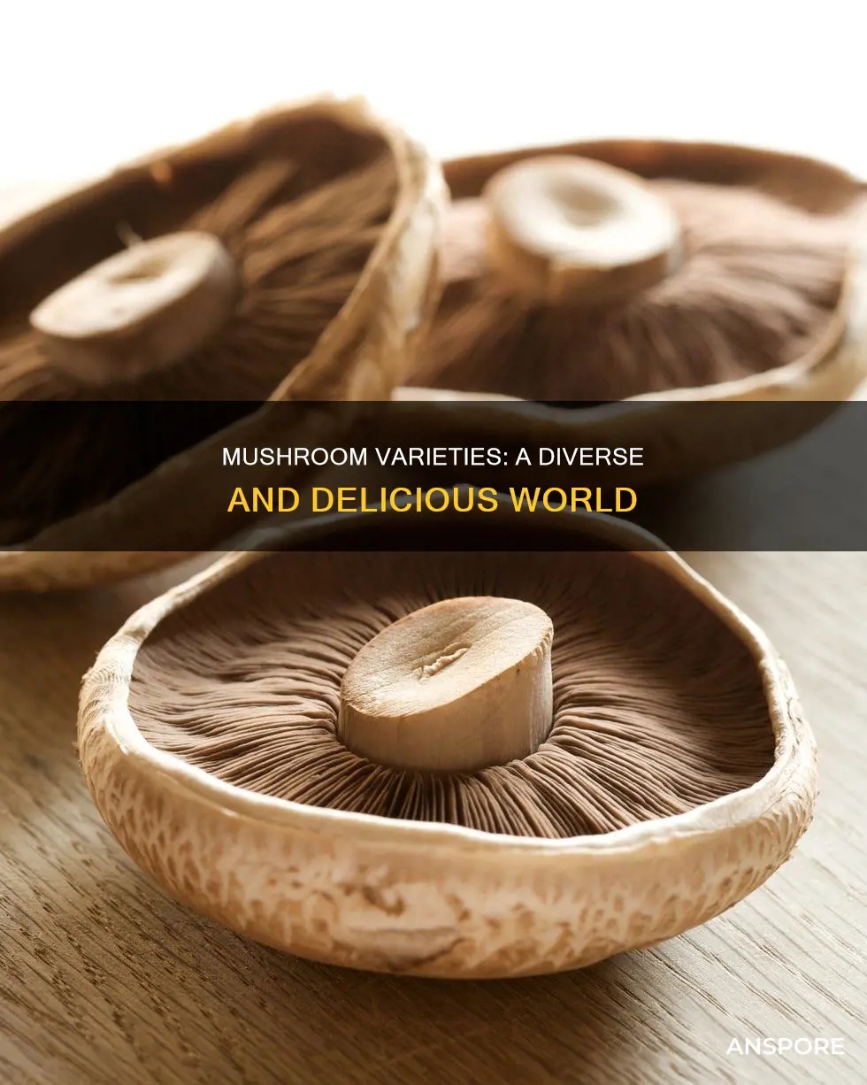 how many kind of mushroom