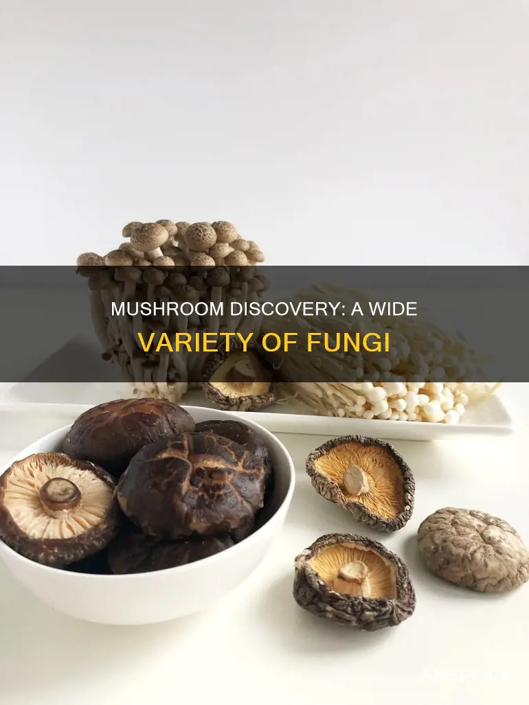 how many kinds of mushrooms have been discovered