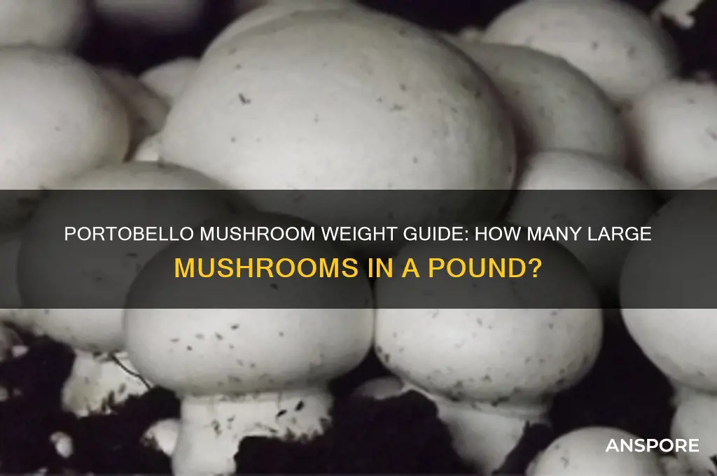 how many large portobello mushrooms in a pound